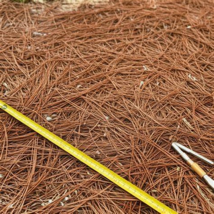 How much pine straw Do I Need