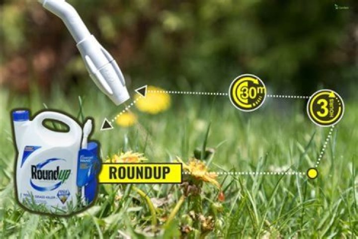 How much Roundup do you need per acre