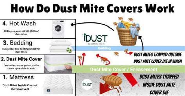 How often should dust mite covers be washed