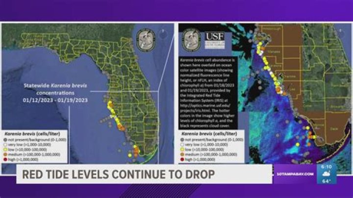 How sick can you get from red tide