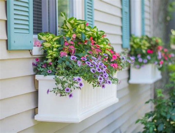 How wide should Window boxes be