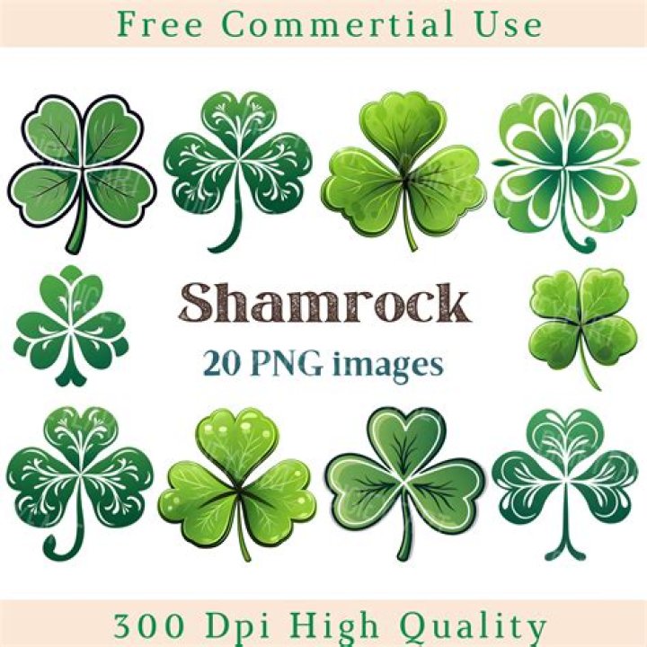 Is a shamrock the same as a clover