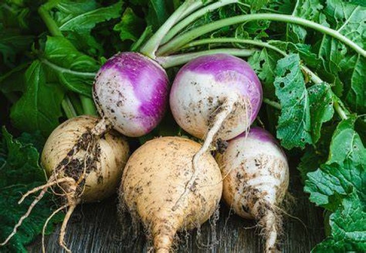 Is a turnip a vegetable