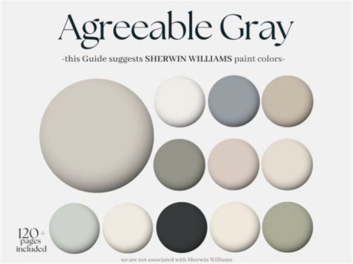 Is agreeable gray dark