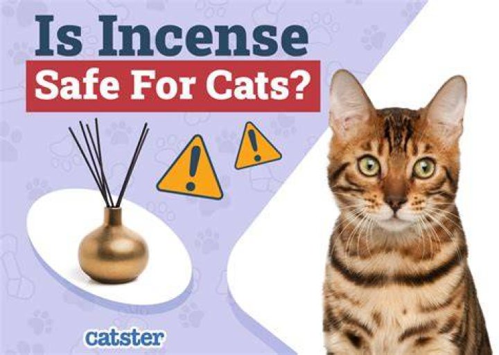 Is Azalea safe for cats