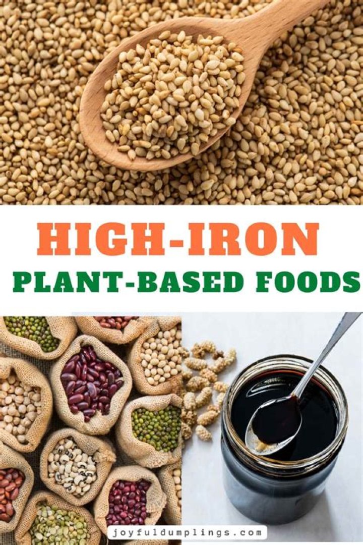 Is Bison high in iron