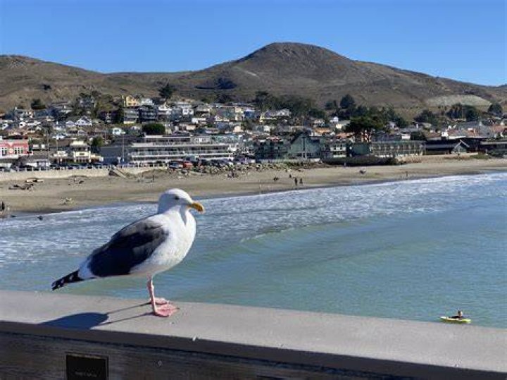 Is Cayucos Pier open