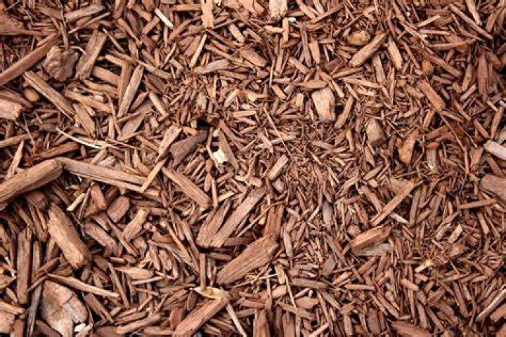 Is cedar chips good for mulch