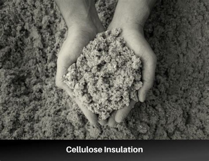 Is cellulose mold resistant