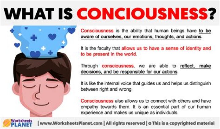 Is conscientiousness a value
