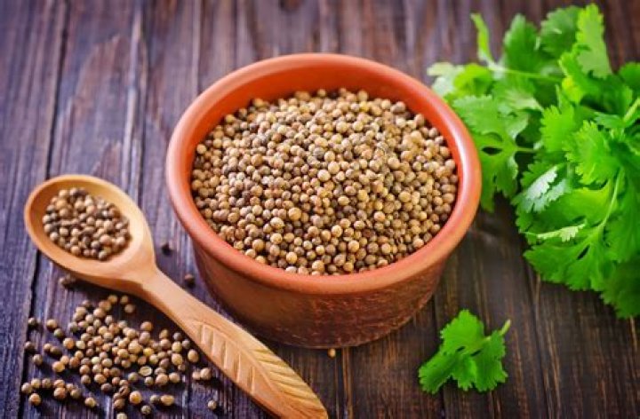 Is coriander a herb or a spice