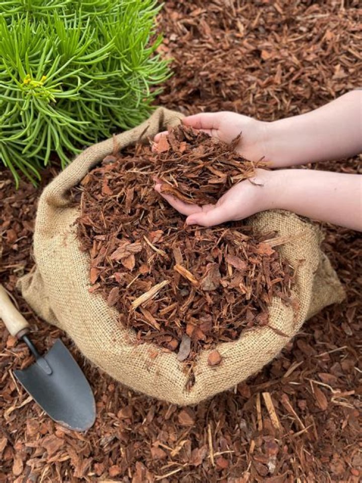 Is Cypress A good mulch