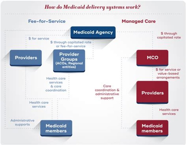 Is EPO a managed care plan