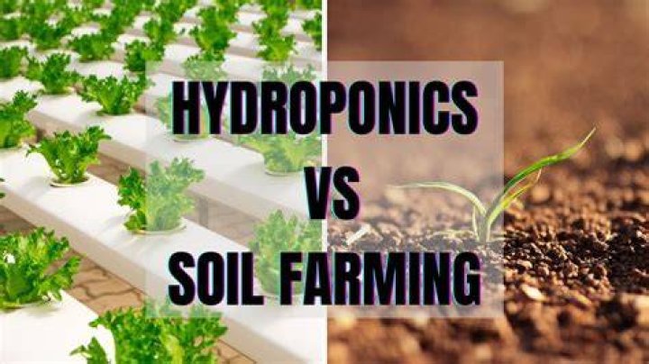 Is hydroponics or soil better