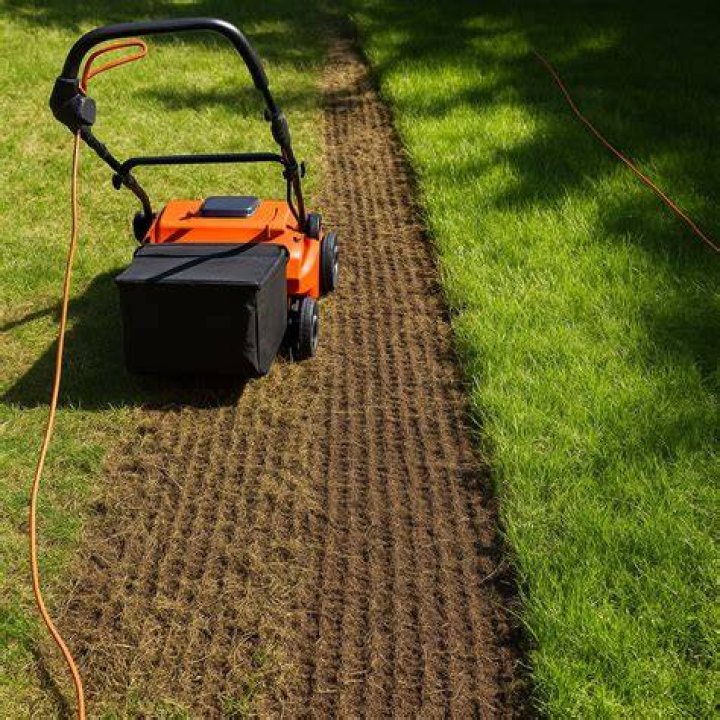 Is it OK to dethatch in the fall