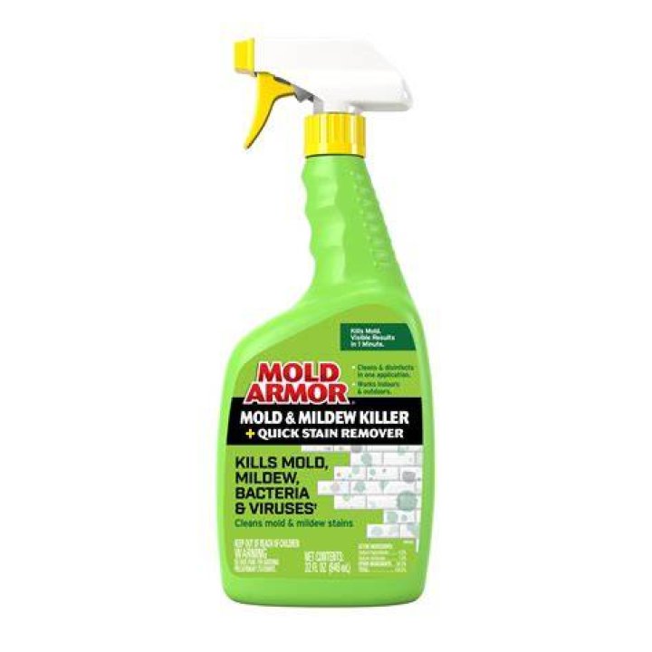 Is mold or mildew green