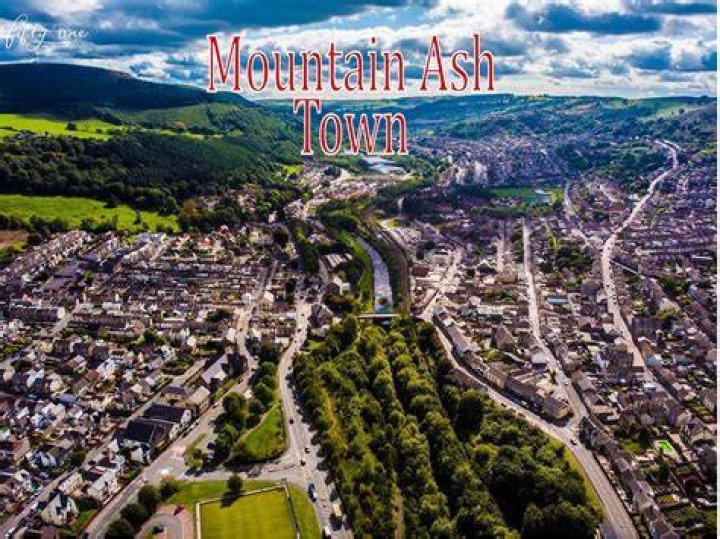 Is Mountain Ash a true ash