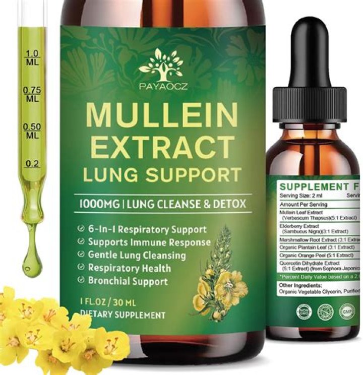 Is mullein good for your lungs