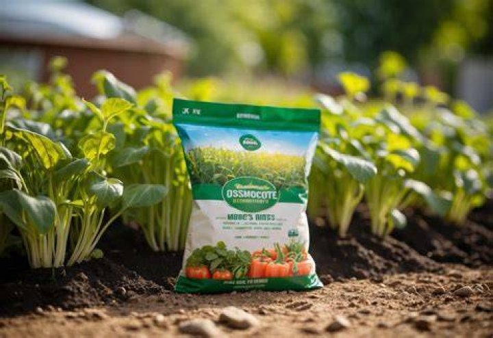 Is Osmocote safe for vegetables