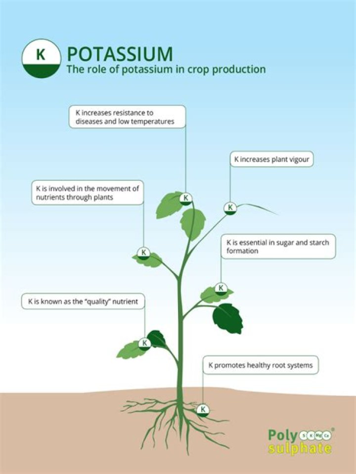 Is potassium water soluble