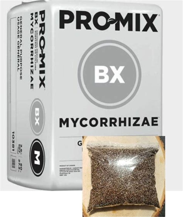 Is Pro Mix soilless