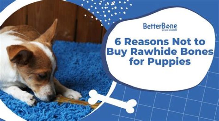 Is Rawhide good for puppies