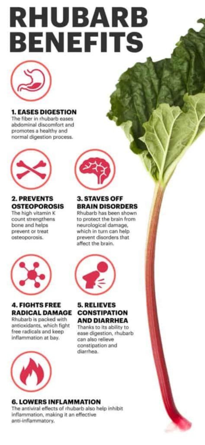 Is rhubarb good for your bones