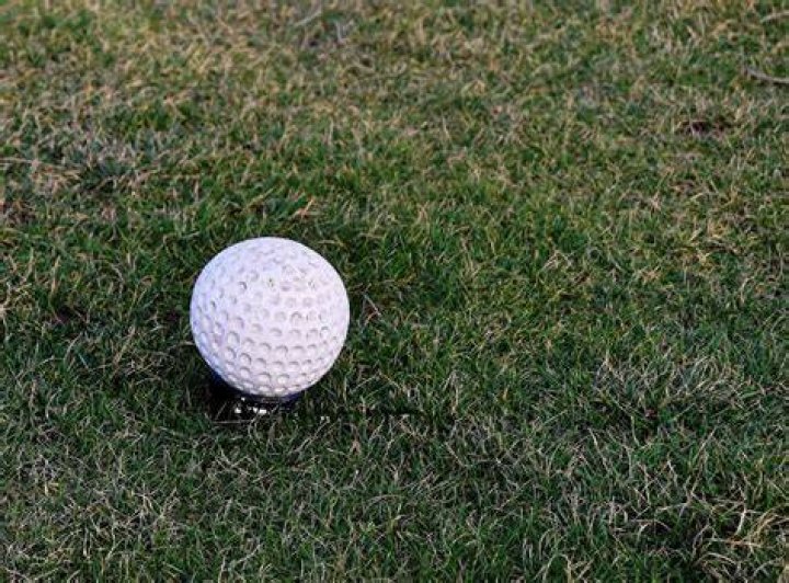 Is Roundup used on golf courses