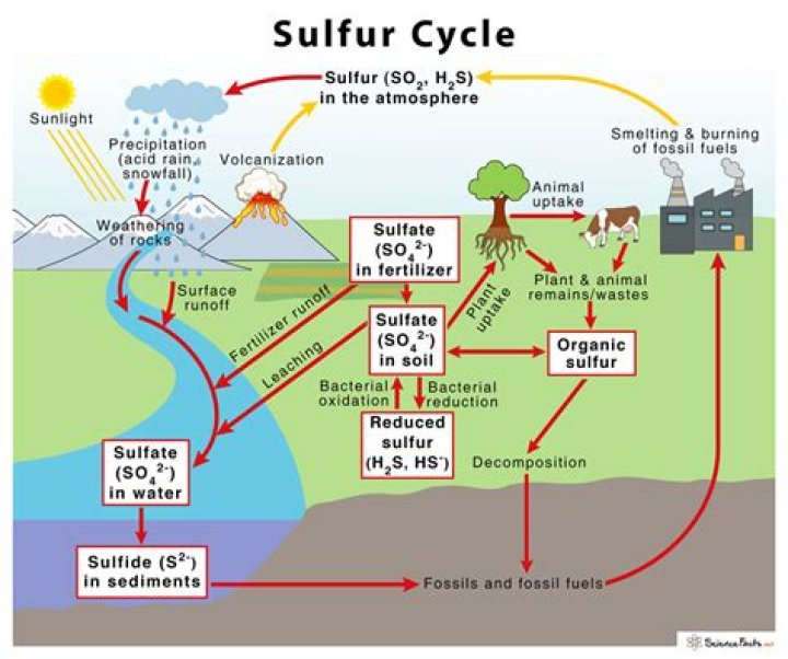 Is Sulfur good for soil