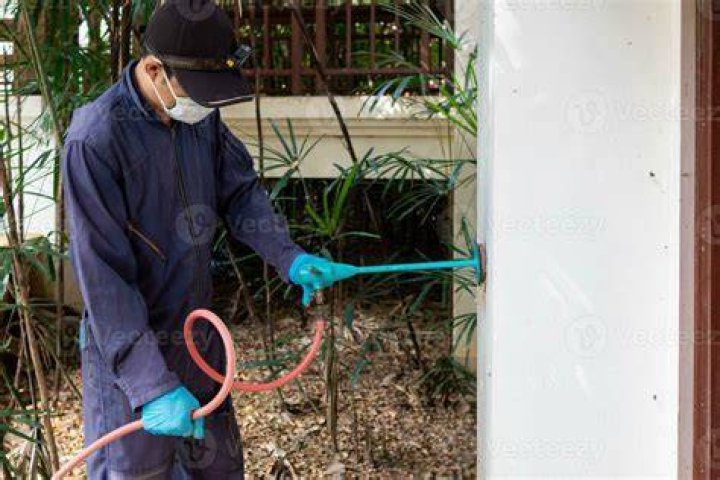 Is termite treatment toxic