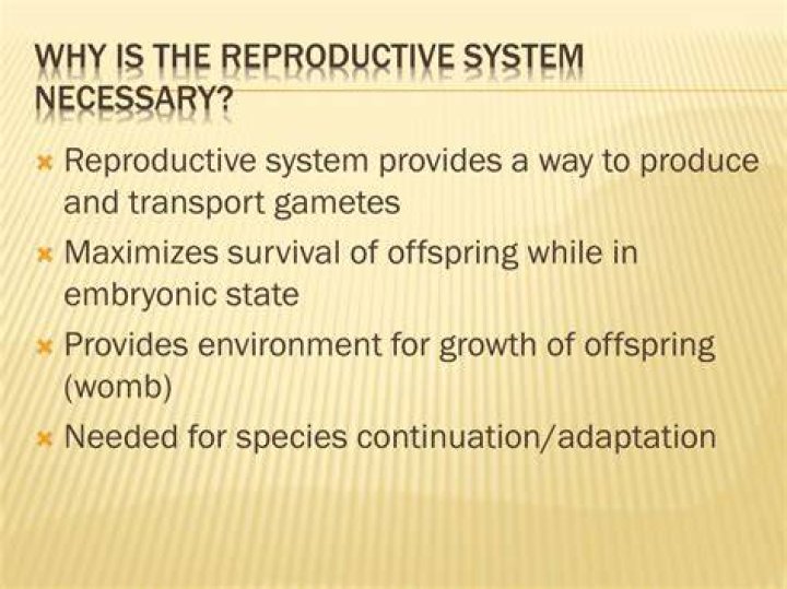 Is the reproductive system necessary