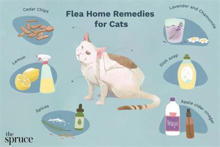 Is vinegar effective against fleas