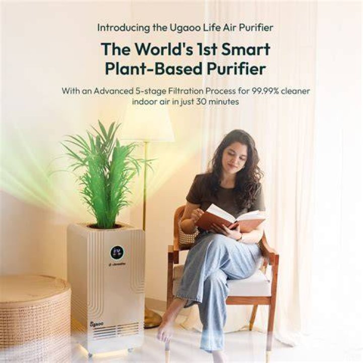 Is water based air purifier effective