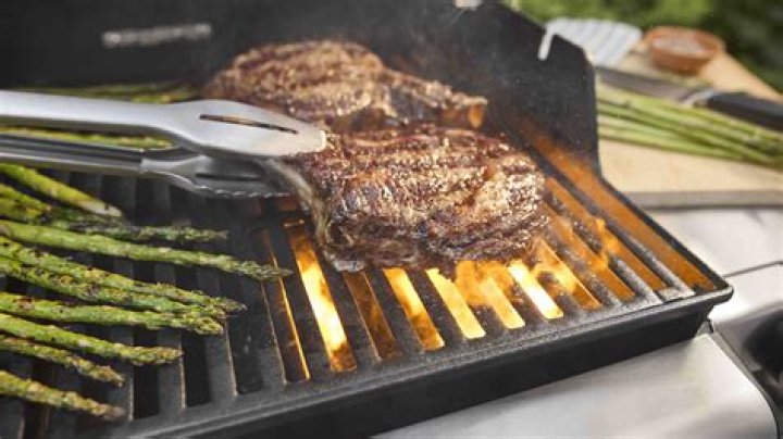 Is Weber really the best grill