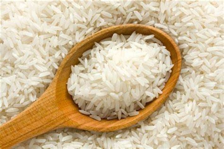 Is white rice paleo friendly