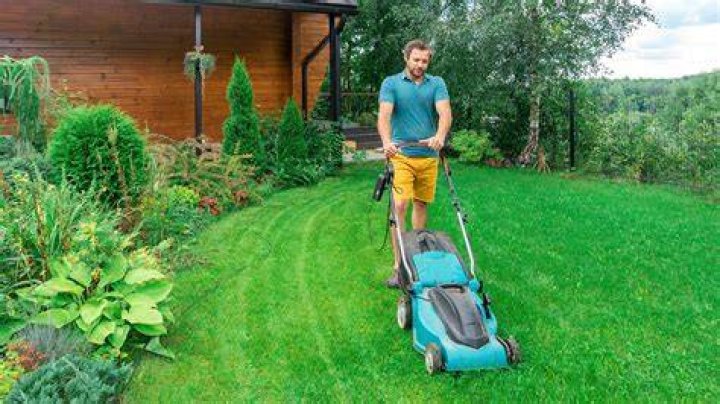 Is yard work good for you