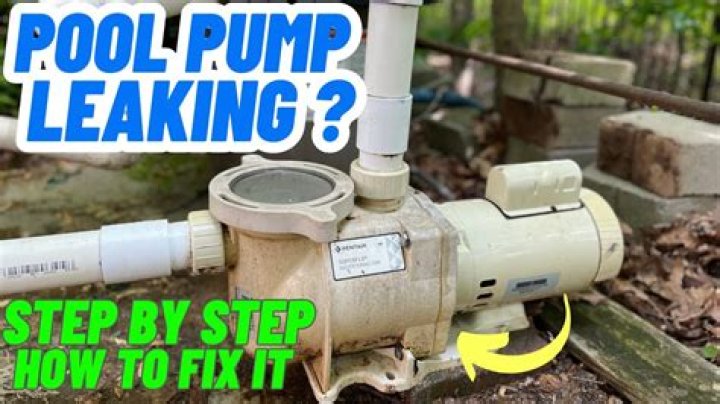 Should I leave my pool pump on while on vacation