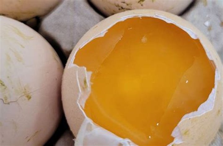 Should I remove unhatched eggs