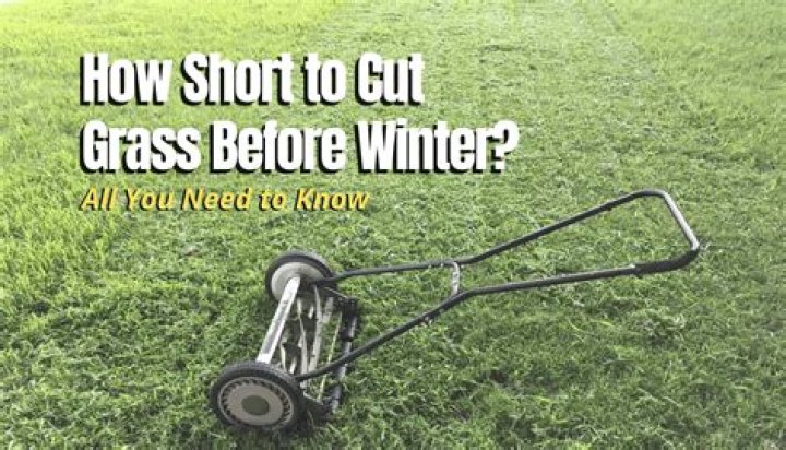 Should you cut your grass short before winter