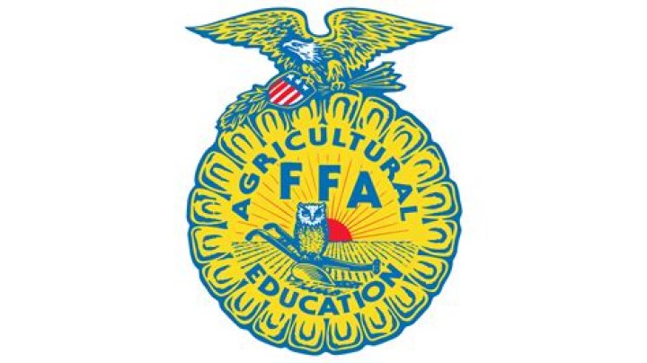 What are CDEs in FFA