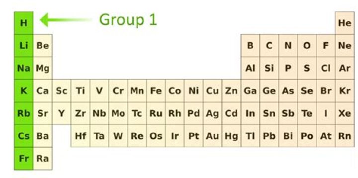 What are elements in Group 1 called