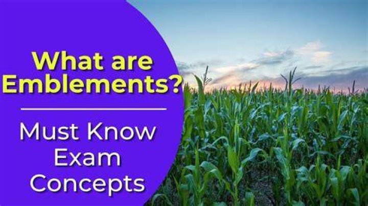 What are Emblements rights