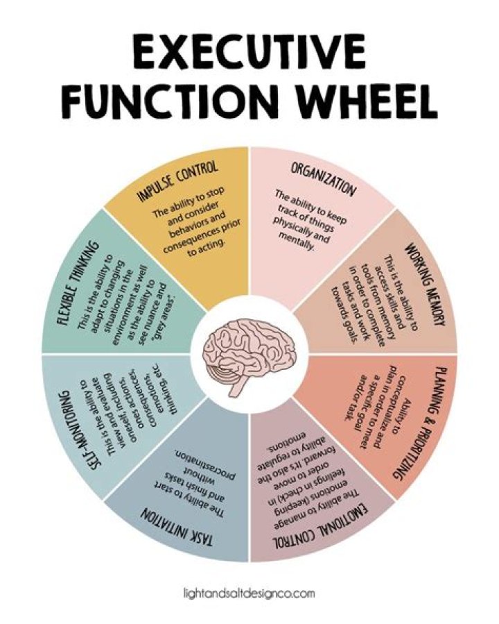 What are executive functioning skills in adults