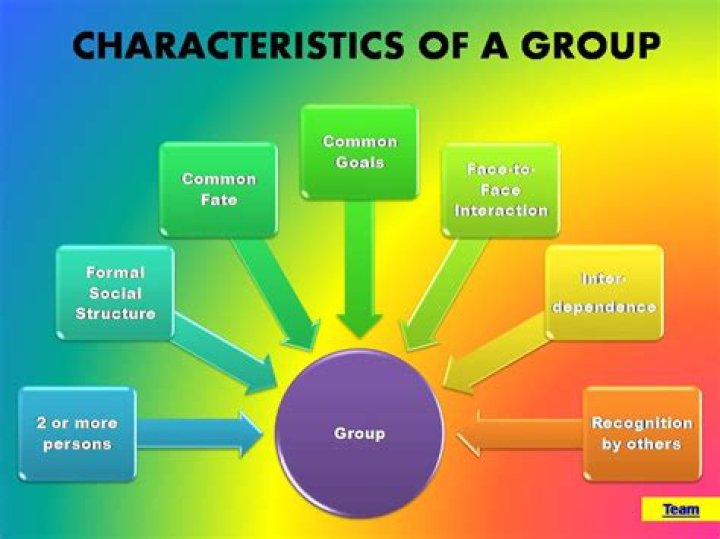 What are group dynamics examples