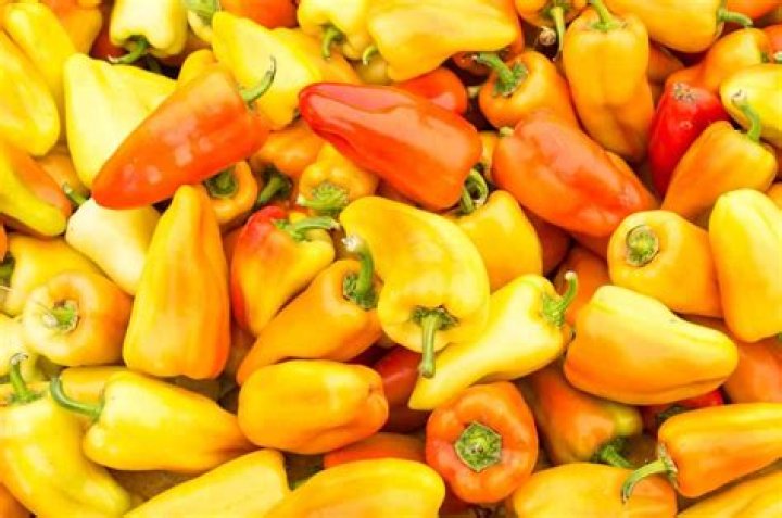 What are Gypsy peppers