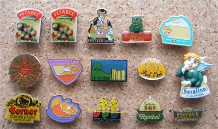 What are lot pins