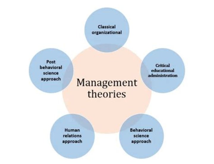 What are management perspectives