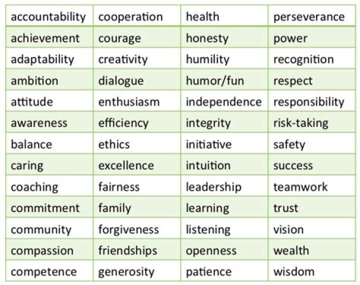 What are my career values