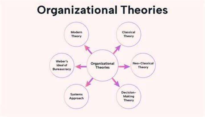 What are organizational techniques