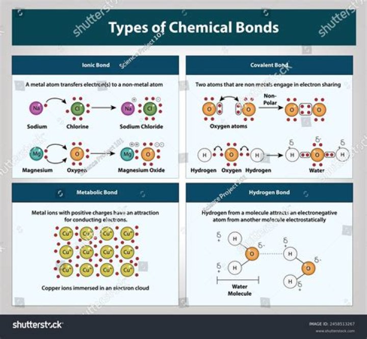 What are reset bonds